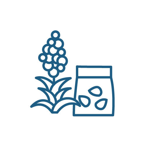 Grains / Nuts