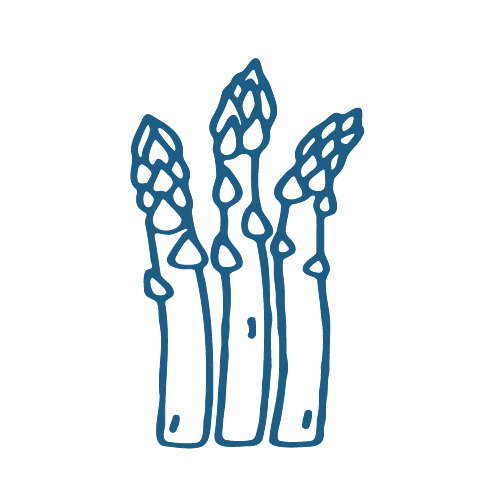 European white asparagus