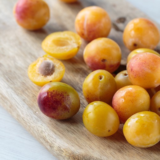 Maison Andresy 黃香李果醬 28g