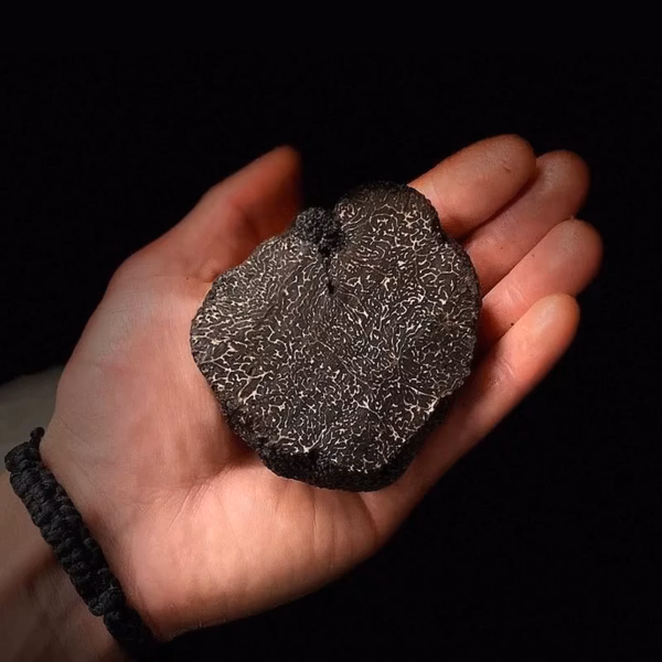 Alena 冬季松露之巔 Winter Truffle 250g