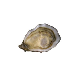 David Herve 法國大衛赫夫特級生蠔 Special No.0